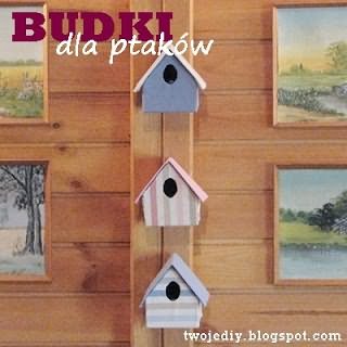 Зробити шпаківню своїми руками з коробки. Як зробити шпаківню своїми руками з підручних матеріалів Підкажіть, як зробити шпаківню з дерева? синові в школі дали завдання принести будиночок для птахів, а наш тато весь час на роботі, ось і вирішили з дитиною зайнятися цим самостійно і зробити два шпаківні: один віднесемо в школу, а другий повісимо в нашому саду. Які дошки краще використовувати і чи потрібно потім пофарбувати нашу споруду?
Птахи – санітари не тільки лісу, а й саду. Про це знає кожен дачник, у якого на ділянці ростуть плодові дерева і чагарники. Круглий рік пернаті не тільки радують слух своїм співом, але ще і допомагають садівникам в їх нелегкій праці по захисту дерев від шкідників, знищуючи дрібних комах і ласуючи їх личинками. Щоб залучити птахів, на деревах розвішують годівниці і підгодовують добровільних помічників в холодну зимову пору, коли знайти «здобич» не так легко, а ще влаштовують їм житло. Добротний деревяний будиночок сподобається будь-якій пташці, в ньому вона зможе не тільки жити і ховатися від негоди, але і вивести потомство.
Нюанси, які важливо знати перед тим, як приступити до роботи Як вже зрозуміло, найкращий шпаківню – зроблений з натуральних матеріалів, в сенсі, з дерева. Деякі умільці майструють будиночки з картонних коробок або пластикових пляшок, однак, це зовсім не те. У першому випадку житло буде тимчасовим і протримається один сезон, якщо не розмокне раніше під дощем. Пластикові ж ємності більше підійдуть для виготовлення , до того ж про їх натуральності немає й мови. Відлякає птахів і запах дсп або фанери, остання ще й занадто тонка і будиночок буде холодним.
Для пташиного будиночка варто використовувати дошки листяних порід, але ні в якому разі не хвойних – вони містять смолу, яка прилипне до оперення, що загрожує для здоровя пернатих. Товщина дощечок повинна бути не менше 20 мм, щоб вони утримували тепло, необхідне пташенятам.
Стругати дошки, домагаючись їх ідеальної гладкості, не потрібно. Шорстка поверхня, особливо всередині шпаківні і під льотком, допоможе птахам потрапити всередину і без праці переміщатися.
Робимо шпаківню покроково Перш за все, слід скласти креслення майбутнього житла. Це полегшить процес виготовлення заготовок і дозволить зробити їх рівними, щоб в подальшому між стінками не виявилося щілин.
Шпаківні можуть бути різної величини і форми – все залежить від того, які саме птахи будуть в ньому жити. Занадто просторі апартаменти робити не треба, адже пташине сімейство невелике і молодняк може замерзнути або вирости слабким. Стандартні ж розміри будиночка приблизно такі:
ширина днища-15 см;
висота шпаківні-до 30 см;
дах – приблизно 20х24 см;
діаметр виступу (льотка) - не більше 5 см.
краще, щоб задня стінка була на пару сантиметрів нижче передньої панелі – такий ухил необхідний, щоб стікала вода. Відповідно, тоді і на бічних стінках верхній зріз буде йти по косій. Дах же повинна трохи виступати, тому її розміри трохи більше днища.
тепер можна приступити до роботи:
перенести креслення олівцем на дошки.
вирізати всі деталі.
обстругати зовнішню поверхню заготовок.
у передній панелі вирізати вхід у вигляді кола.
зібрати шпаківню в такій черговості: фасад, бічні стінки, дно, задня стінка, дах, льоток. Всі частини повинні щільно прилягати один до одного. Кріпити їх краще на саморізи або цвяхи.
Залишилося приробити до шпаківні кріплення у вигляді планки на задній стінці і встановити його на дерево, добре примотавши дротом. Фарбувати не треба – запах фарби відлякає птахів.
Шпаківня-годівниця з картону На гілку годівниця кріпиться за допомогою двох мотузочок таким ось чином.​
накладаємо на картон і за допомогою лінійки і плоскою викрутки продавлюємо контури.​
два аркуші картону а4;
якщо ви захопилися виготовленням виробів до дня птахів і ваш малюк вже освоїв аплікацію на тему шпаківня, саме час братися за моделювання!​
цей варіант дійсно найкращий з розглянутих. Натуральне дерево найбільш повно відповідає всім вимогам утримання птахів на своїй присадибній ділянці. Воно відмінно вентилюється, захищає пташенят, дуже надійно в експлуатації і дуже міцне. На жаль, щоб його зробити, потрібно вдатися до допомоги спеціального інструменту. Але, думаю, для будь-якого домашнього майстра це не проблема.​
щоденник марріетти
даємо просохнути клею і готуємо наші детальки до декорування - я завдала два шари акрилового грунту. Наносила поролоновою губочкою для посуду:
фіксація здійснюється мяким дротом, закрутки притискають до стовбура планку
Шпаклівка - по дереву
Мухоловочник-відрізняється невеликими габаритами для цих дрібних пернатих
Womanadvice.ru
Як зробити шпаківню своїми руками?