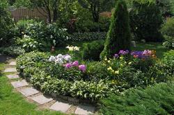 Сад олени сєдової. Декоративний ставок в саду-відео