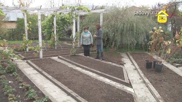 Сад олени сєдової. Декоративний ставок в саду-відео