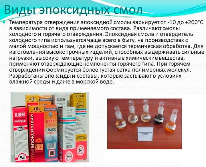 Листья вяза повреждены что за болезнь. Декоративный вяз, выращивание, описание и виды
