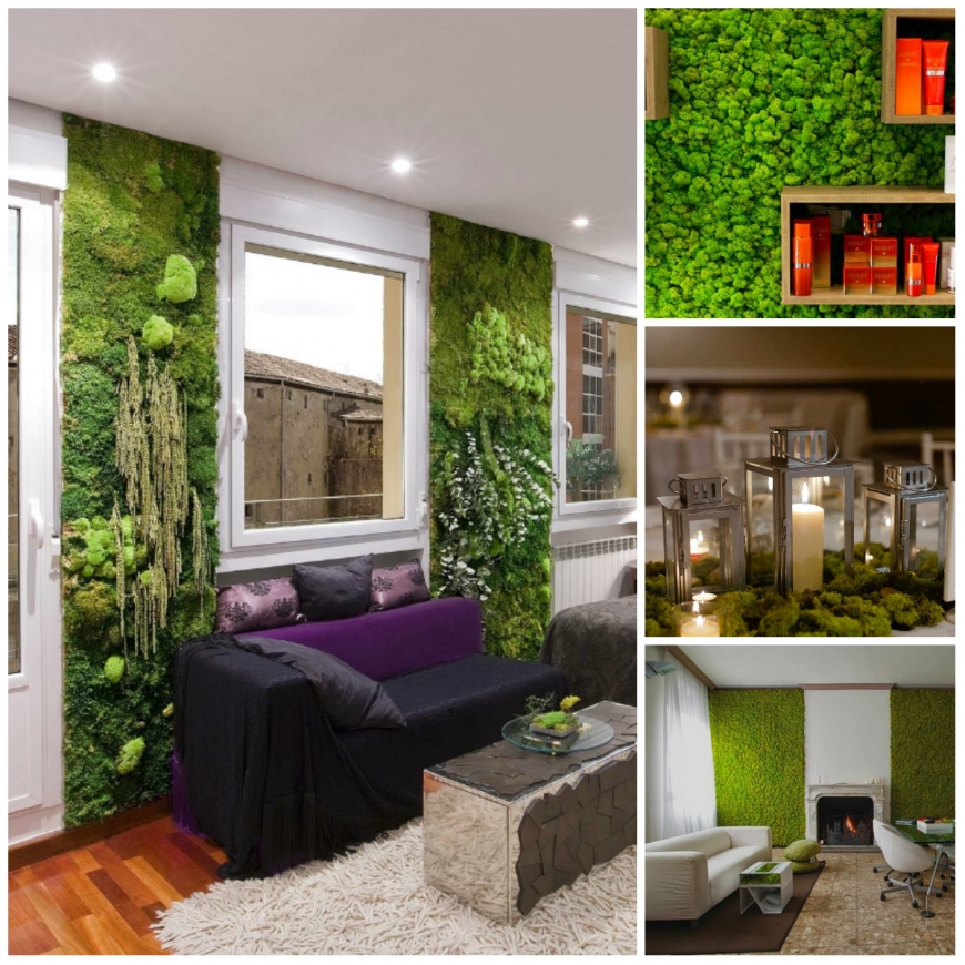 Озеленення будинку: живі стіни і композиції з мохів. Стіни з моху як зробити фарбу з моху