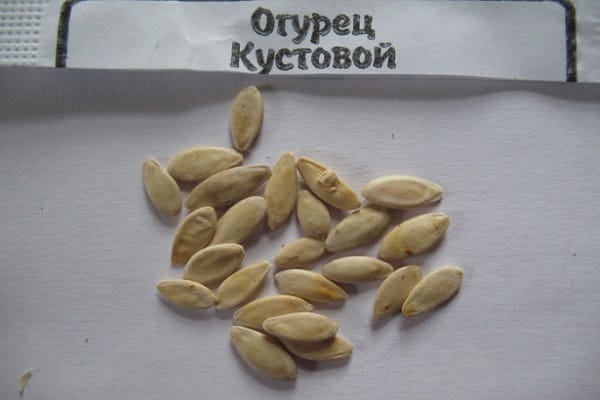 Сольовий розчин для перевірки схожості насіння. Перевірка насіння на схожість в домашніх умовах