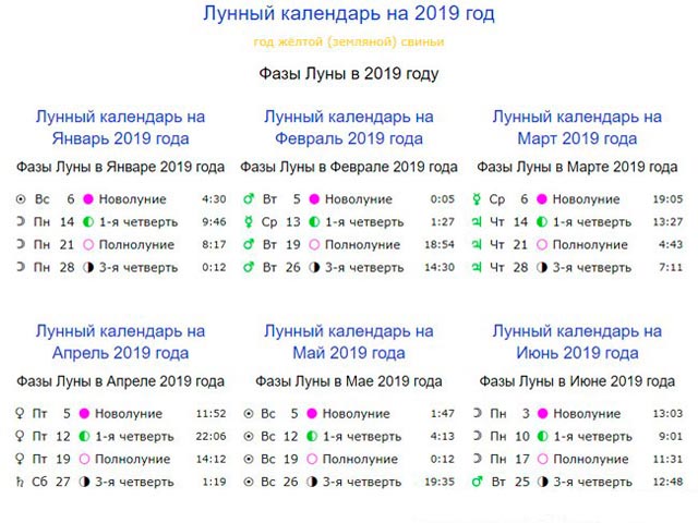 Томати посадка насіння на розсаду в квітні. Коли сіяти помідори на розсаду