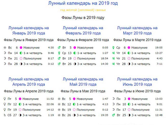 Томати посадка насіння на розсаду в квітні. Коли сіяти помідори на розсаду