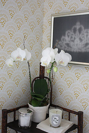 Дизайн орхідей в горщику. Горщики для орхідей: характеристика видів і критерії вибору