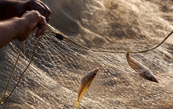 Ловити рибу на вудку уві сні — тлумачення відомих сонників. Сонник ловити рибу на вудку жінці