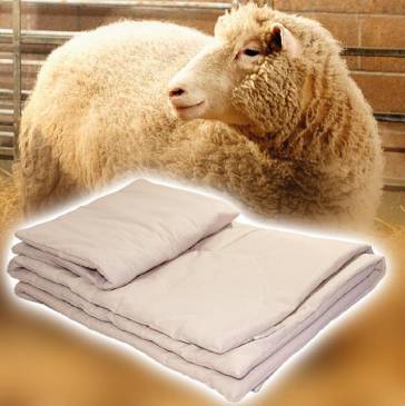 Як випрати ковдру з овечої вовни в пральній машині. Прання ковдри з овечої вовни догляд за ковдрою з овечої вовни