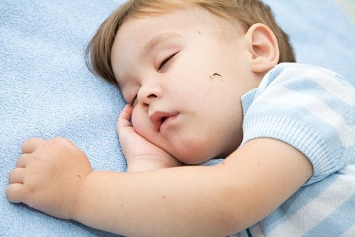 Профілактика укусів комарів і мошки у дітей. Як захистити свою дитину влітку від комарів? як захистити дитину 6 місяців від комарів