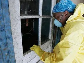 Як виявити плісняву і зупинити її поширення